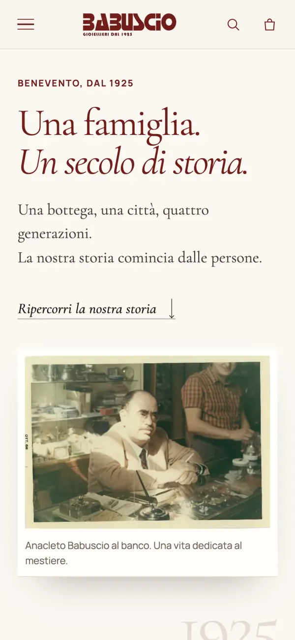 Pagina della storia su telefono
